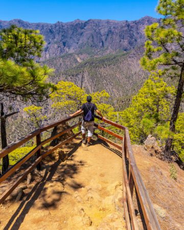 Asistencia al Viajero